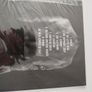 Facing The Swarm Thought vinyl lp Image 2