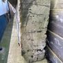 Reclaimed salvaged Antique Lumber X2 Image 4
