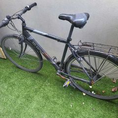 Adult bike