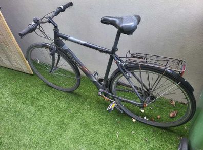 Adult bike