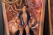 WWE Legends Series 3 British Bulldog