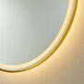 LED Bathroom Mirror Oval Gold Frame Antifog Fog Free Dual LED Image 10