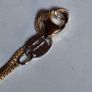New 10kt gold and sterling silver pendant and chain Image 9