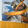 White Paradice. A Journey To The North Pole By Frances Latreille. Beautiful Large Coffee Table Book Filled With Pages Of Beautiful Illustrated Photography. Image 3