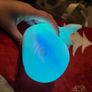 whale night light Image 2