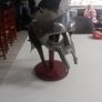 Gladiator movie helmet full size with stand Image 2
