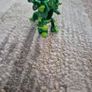 Bakugan Dragonoid ultra Image 5