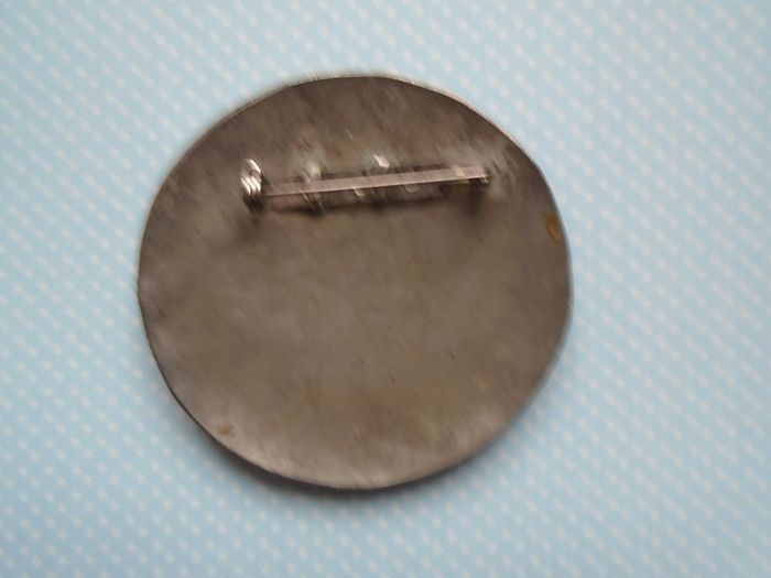 Brooch,Fashion jewellery,Jewellery,