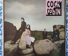 Cock Robin 1st Album