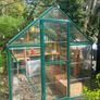 Glasshouse Image 2