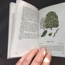B00K-Trees Image 4