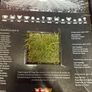 Barcalona camp nou grass Image 5