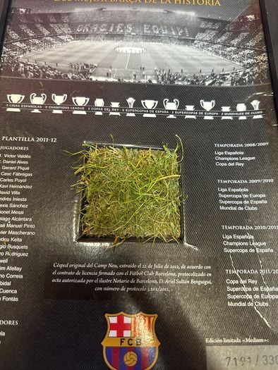 Barcalona camp nou grass