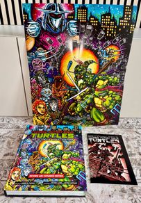 Teenage Mutant Ninja Turtles Art/History Book