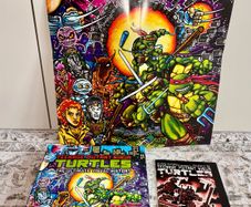 Teenage Mutant Ninja Turtles Art/History Book