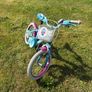 16 Inch Frozen Bike Image 2