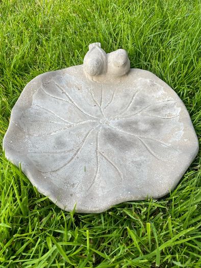 Bird Bath