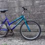 adult bike Image 2
