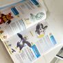 Pokemon Book - Brand New Image 4