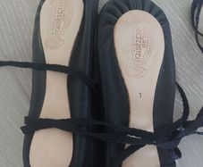 Size 1 Pomps
