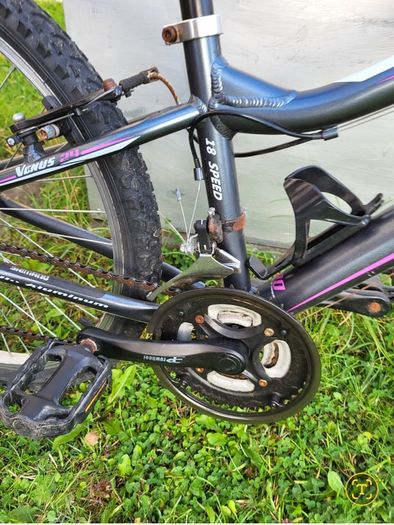 Girls bike for sale Procycle Venus 24"