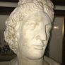 Bust Image 2