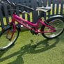 Ridgeback Girls Bike 20" Image 2