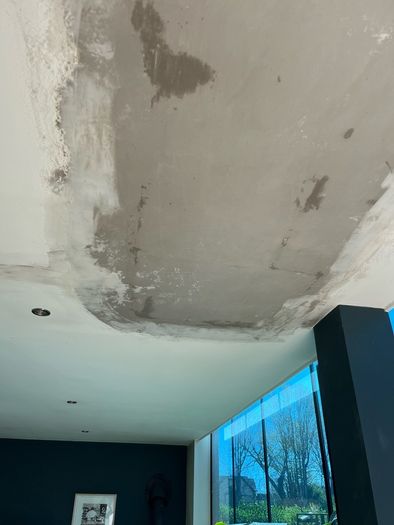 Frankies plastering - 45 years experience, in Dublin.