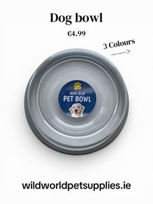 Dog Bowl