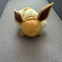 Pokemon sleeping Eevee plush Teddy