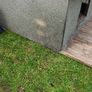 Dog kennel Image 3