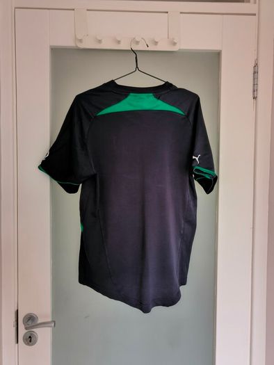 Puma Ireland Rugby IRFU 2010/2011 alternate training T-shirt