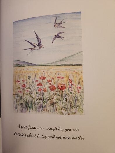 Our World Our Life. Being Expressions  Of Hope And Amusing Views Of Life. Published By Disabled Artists Association Cork. 2020. First Edition Large Volume Hardback In Very Good Condition.