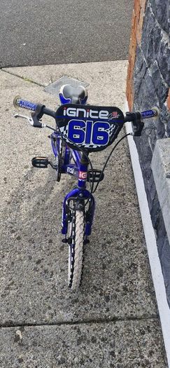 kids 16" bike