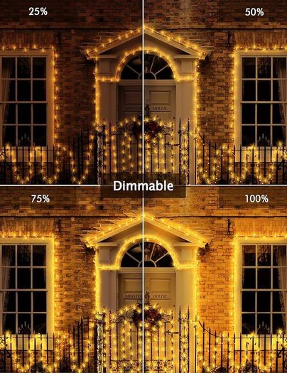 Outdoor Christmas Lights, 100M 800LED Christmas Decorations Fairy Tree Lights, Waterproof Remote Control String Lights Garden Decor, Twinkle Firefly Lights Ornaments Indoor, Warm White