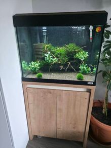 aquarium 90l
