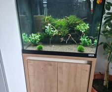 aquarium 90l