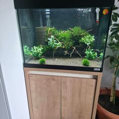 aquarium 90l