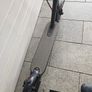 Electric scooter Image 4