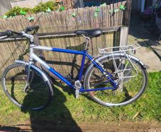 Hybrid bike
