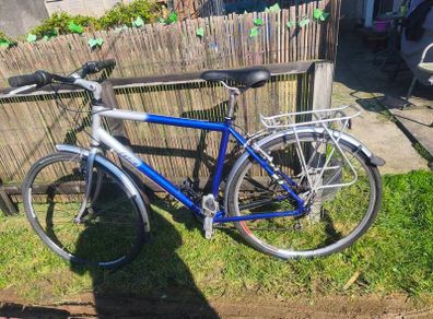 Hybrid bike