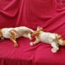 Antique Staffordshire Dogs Image 5