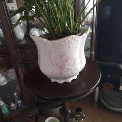 Equestrian China Plant Pot