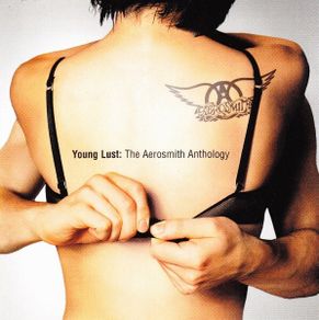 Aerosmith "Young Lust: The Aerosmith Anthology" 2 x CD, Compilation