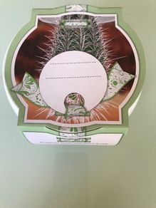 Cactus GrowSet