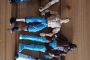 WWE wrestling figures