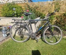 Mens Bicycle