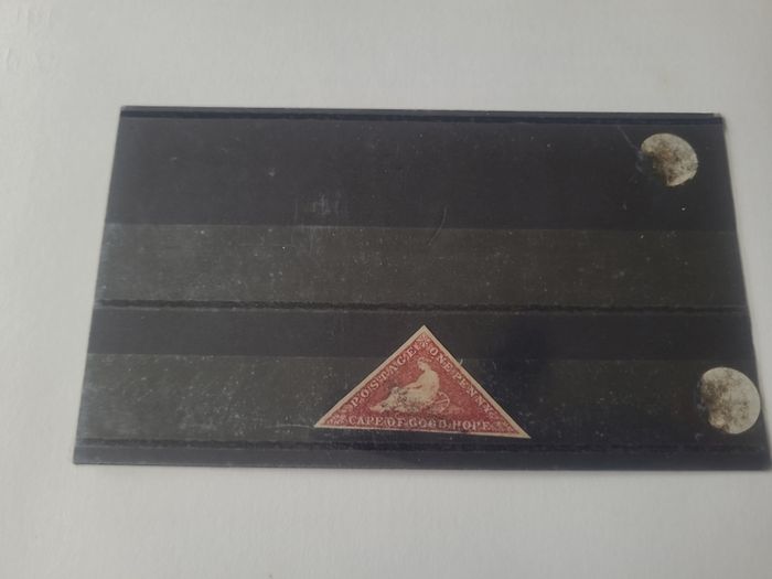Cape Of Good Hope 1853 One Penny Pale Brick-red