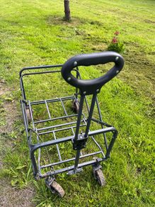 Cart