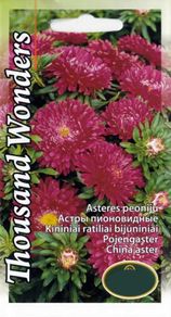 (A) China ASter Thousand Wonders seeds 0.3g (414970)